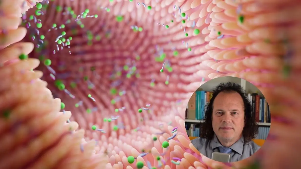 Leaky-Gut-Syndrom im Darm - FroximunWorld
